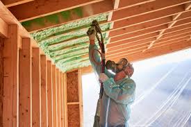 Types of Insulation We Offer in Whitney, NV